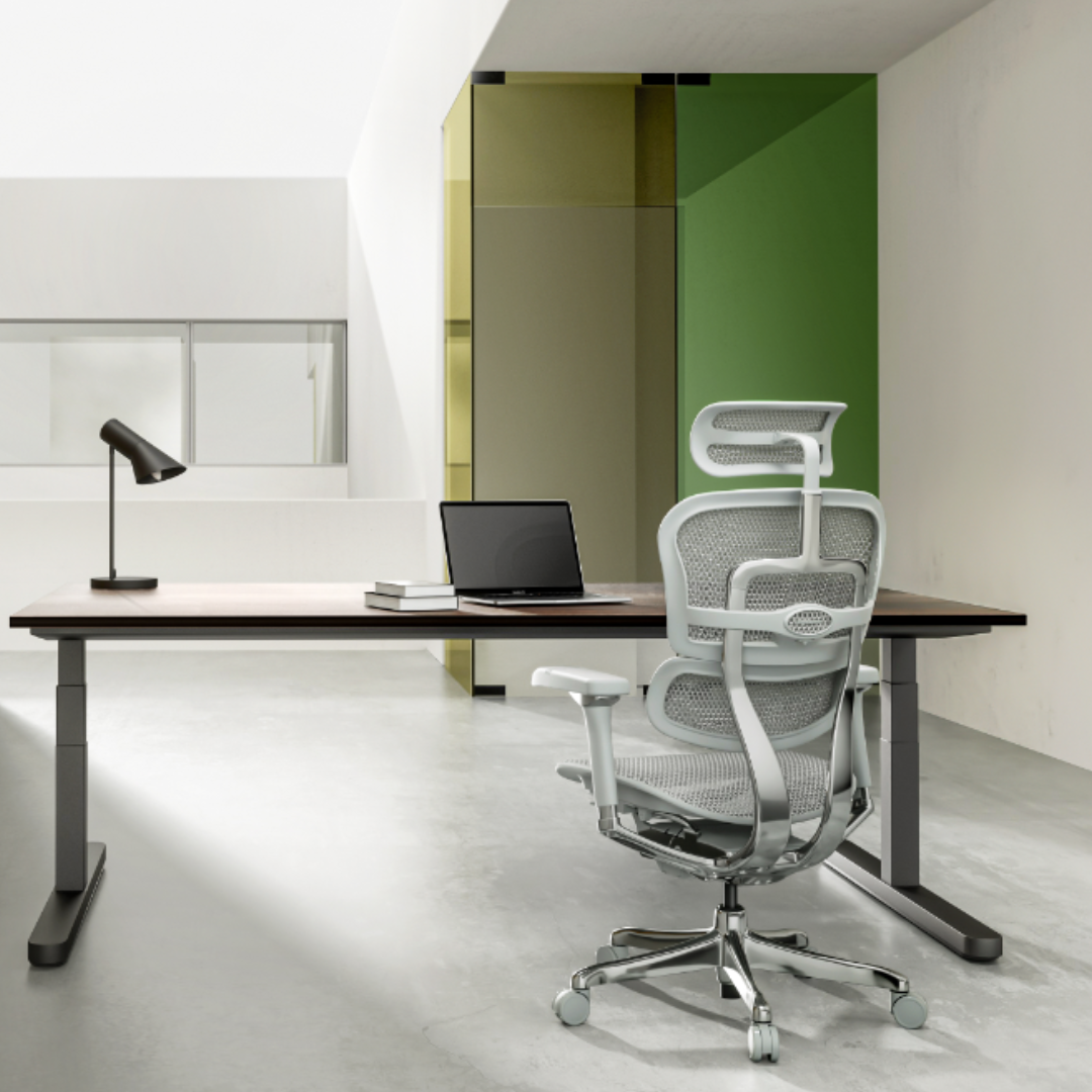 Ergohuman Classique : l’assise ergonomique pensée pour la performance durable