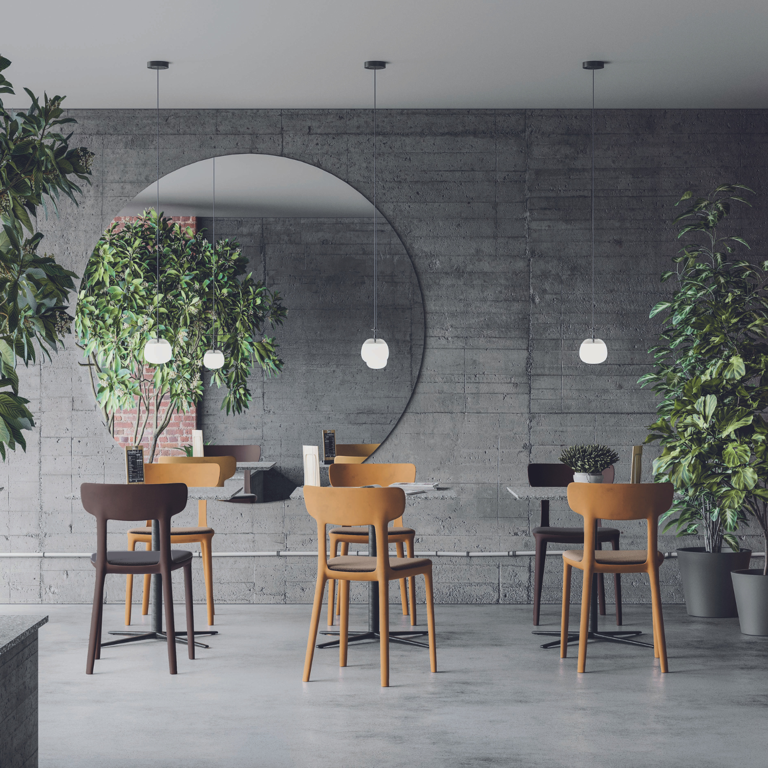 CHAISE COLLECTIVITE - C24 (COL)