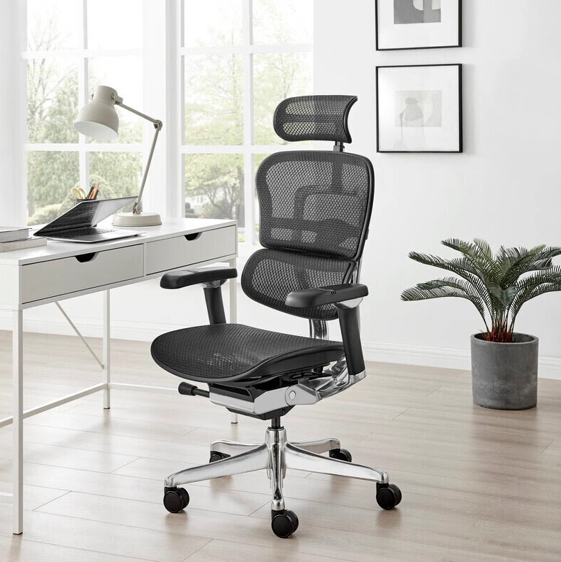 Fauteuil Ergonomique - ERGOHUMAN ELITE