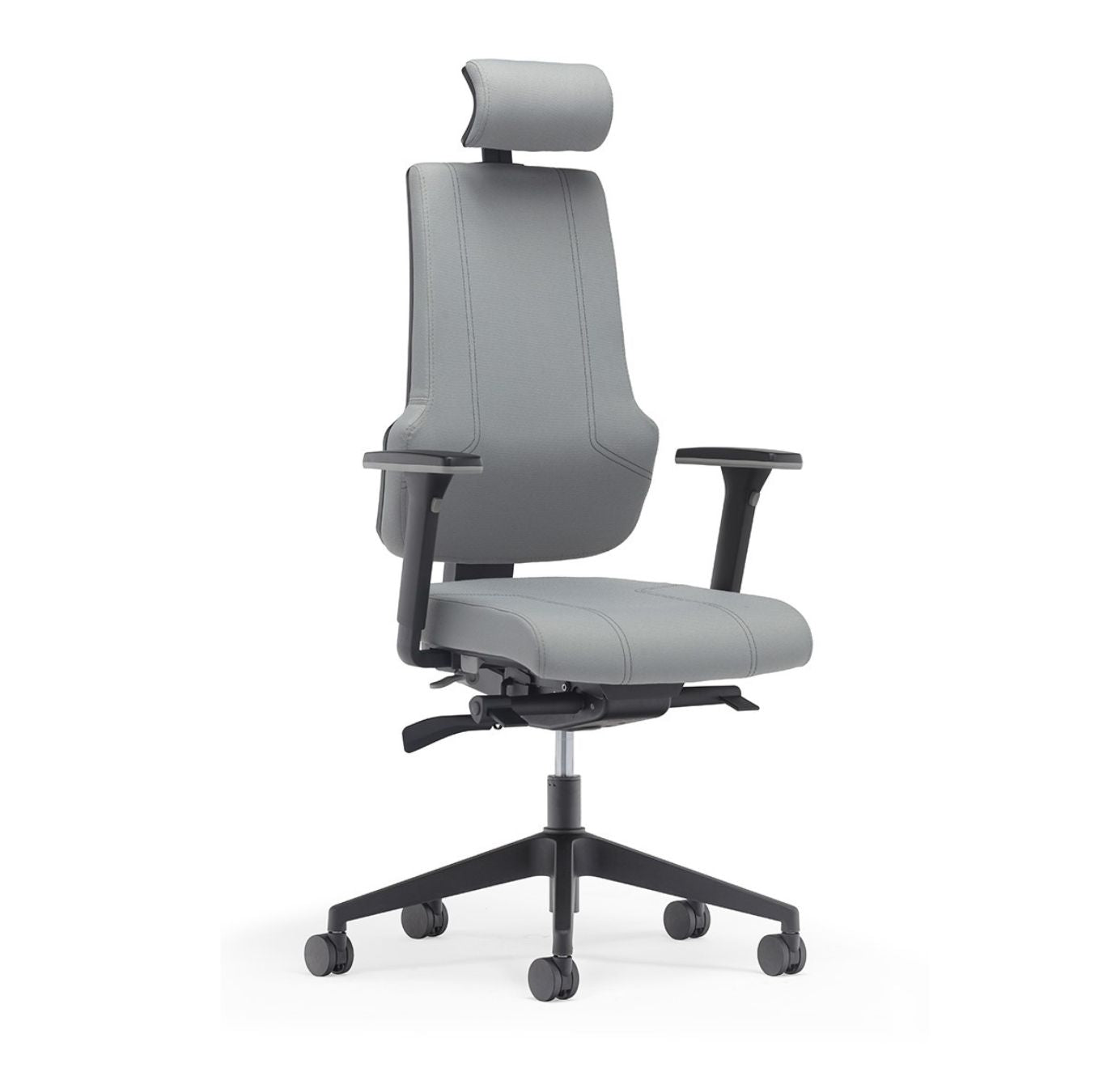 Fauteuil de bureau ergonomique - ERGOX