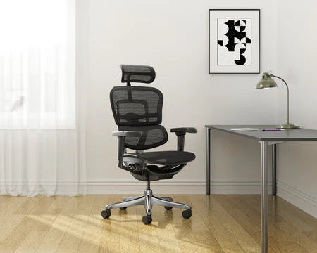 FAUTEUIL_ERGONOMIQUE_DE_BUREAU_ERGOHUMAN.webp__PID:937bf2ca-88c0-43fa-8289-1104bbe4e574