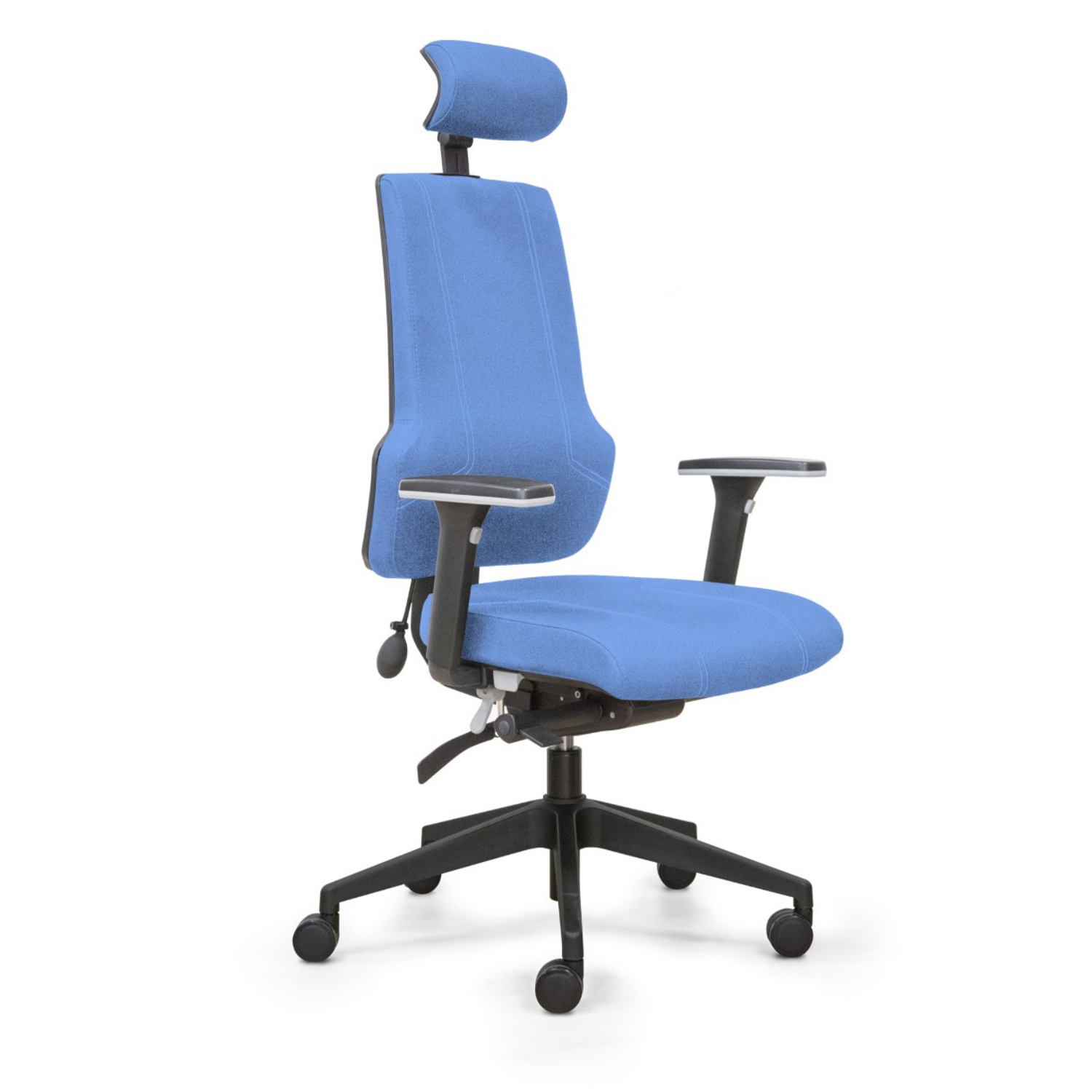 Fauteuil ergonomique, Siège de bureau ergonomique, soutien lombaire, ergonomie, professionnel, bureau, chaise, siège, direction, Besançon, mobilier de bureau Besançon