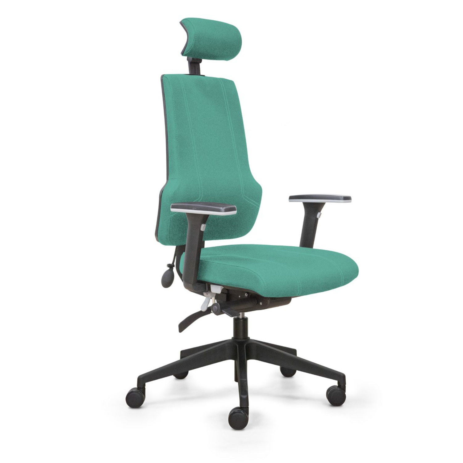 Fauteuil ergonomique, Siège de bureau ergonomique, soutien lombaire, ergonomie, professionnel, bureau, chaise, siège, direction, Besançon, mobilier de bureau Besançon